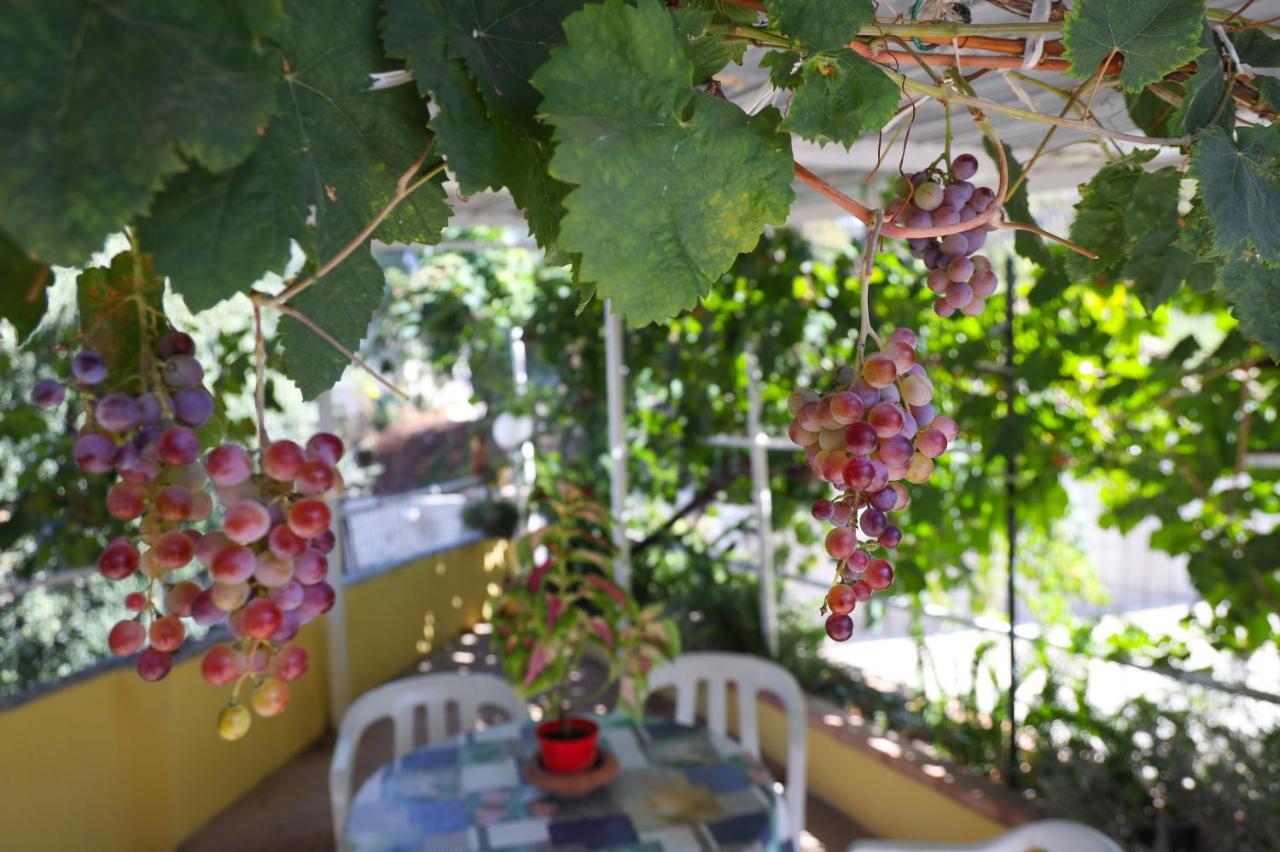 B&B Del Sole Tropea Riaci Zewnętrze zdjęcie