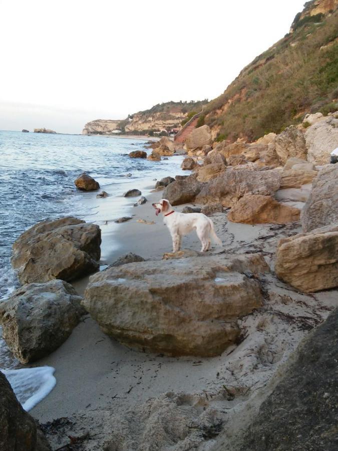 B&B Del Sole Tropea Riaci Zewnętrze zdjęcie
