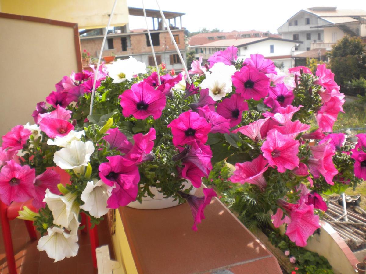 B&B Del Sole Tropea Riaci Zewnętrze zdjęcie